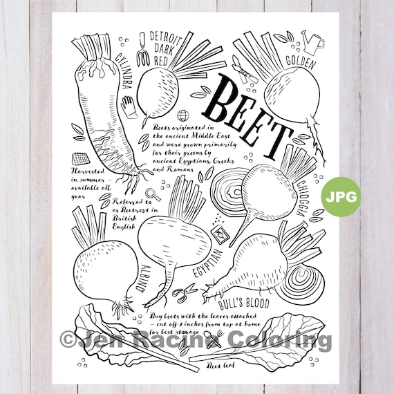 Beet Coloring Page, Vegetable Coloring Page, Garden, Gardening, Homegrown,  Vegetable, Coloring Pages