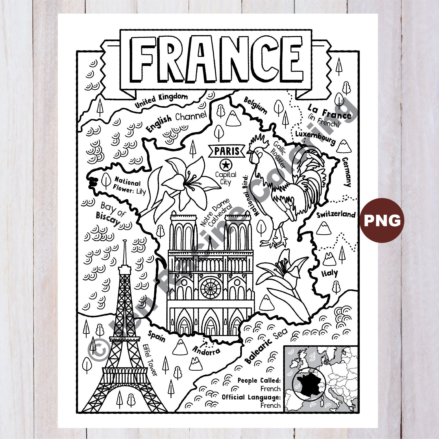 france map,lyon,nice,marseille,paris,toulouse Poster for Sale by  BalloonLand