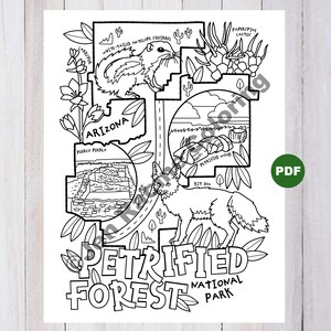 May include: A black and white illustration of a map of Petrified Forest National Park in Arizona. The map shows the location of the Puerco Pueblo, petrified wood, a kit fox, a white-tailed antelope squirrel, and a paper spine cactus.