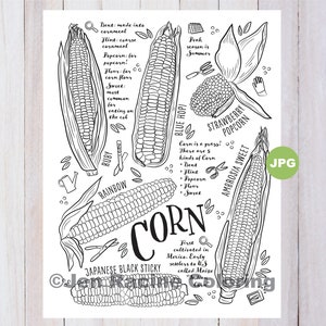 May include: Black and white illustration of different corn varieties, including Ruby, Rainbow, Blue Hopi, Strawberry Popcorn, Ambrosia Sweet, and Japanese Black Sticky. The image includes text describing corn types and uses.