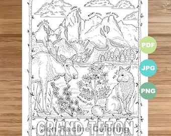 Grand Teton National Park Coloring Page, Landscape, Animals, Plants (Printable)