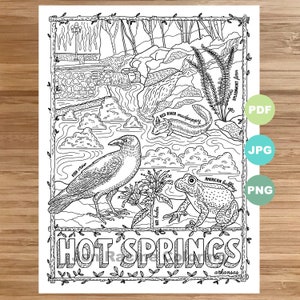 National Park Coloring Page, Hot Springs, Arkansas, National Park, Landscape, Animal, Plant, Wildflower, Coloring page, Printable