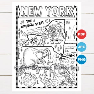 Pagina da colorare di New York, Stati Uniti, mappa dello stato, fauna selvatica, simboli dello stato, fiori, pagine da colorare