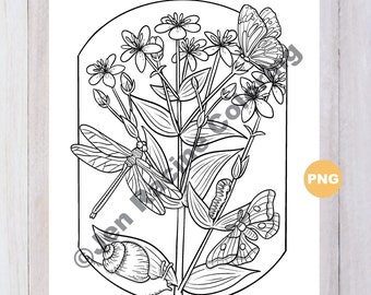 Framed Florals, Snail, Dragonfly & Butterfly Coloring Page, Digital download, PNG