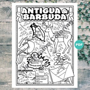Op de afbeelding: Een zwart-witte kleurplaat met een kaart van Antigua en Barbuda. De kaart bevat de namen van de eilanden, de hoofdstad St. John's en het nationale dier, de damhert. De pagina bevat ook de nationale bloem, Agave Karatto, en de nationale vogel, de prachtige fregatvogel. De pagina bevat de tekst "THE CARIBBEAN" en informatie over de mensen, de taal en de bevolking van Antigua en Barbuda.