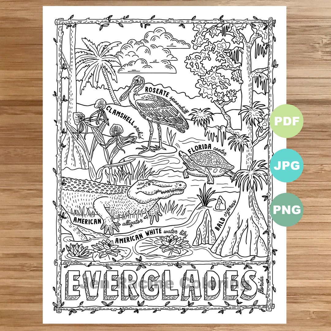 National Park Coloring Page, Everglades, Florida, National Park