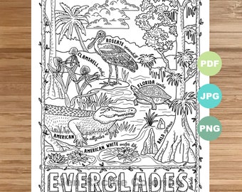 National Park Coloring Page, Everglades, Florida, National Park, Landscape, Animal, Plant, Wildflower, Coloring page, Printable