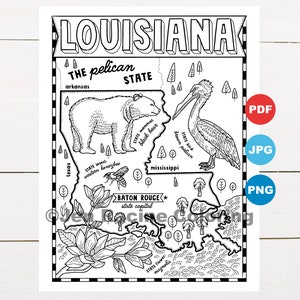 Pagina da colorare della Louisiana, Stati Uniti, mappa dello stato, fauna selvatica, simboli dello stato, fiori, pagine da colorare