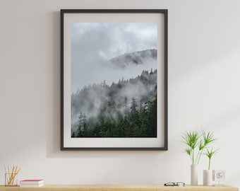 Nature Forest Print, Moody PNW Print, Pacific Northwest Photography, Nature Forest Poster, Printable Digital Download, Foggy Forest Print