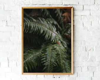 Forest Wall Art Print, Tree Print, PNW Photo, Green Poster, Printable Digital Download, Nature Print