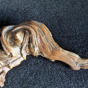 Nature Created Unique Abstract Drift Wood Art/ Natural Wood Decor for Home/Office/Sculpture from Nature/ Approx. 10 x 4 x 3