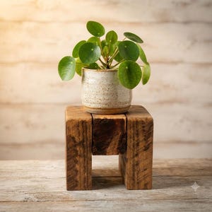 May include: A Pilea peperomioides plant with round green leaves sits in a speckled off-white ceramic pot. The pot rests on a small, square, dark brown wooden stand constructed from thick, reclaimed timber beams with a visible grain texture.
