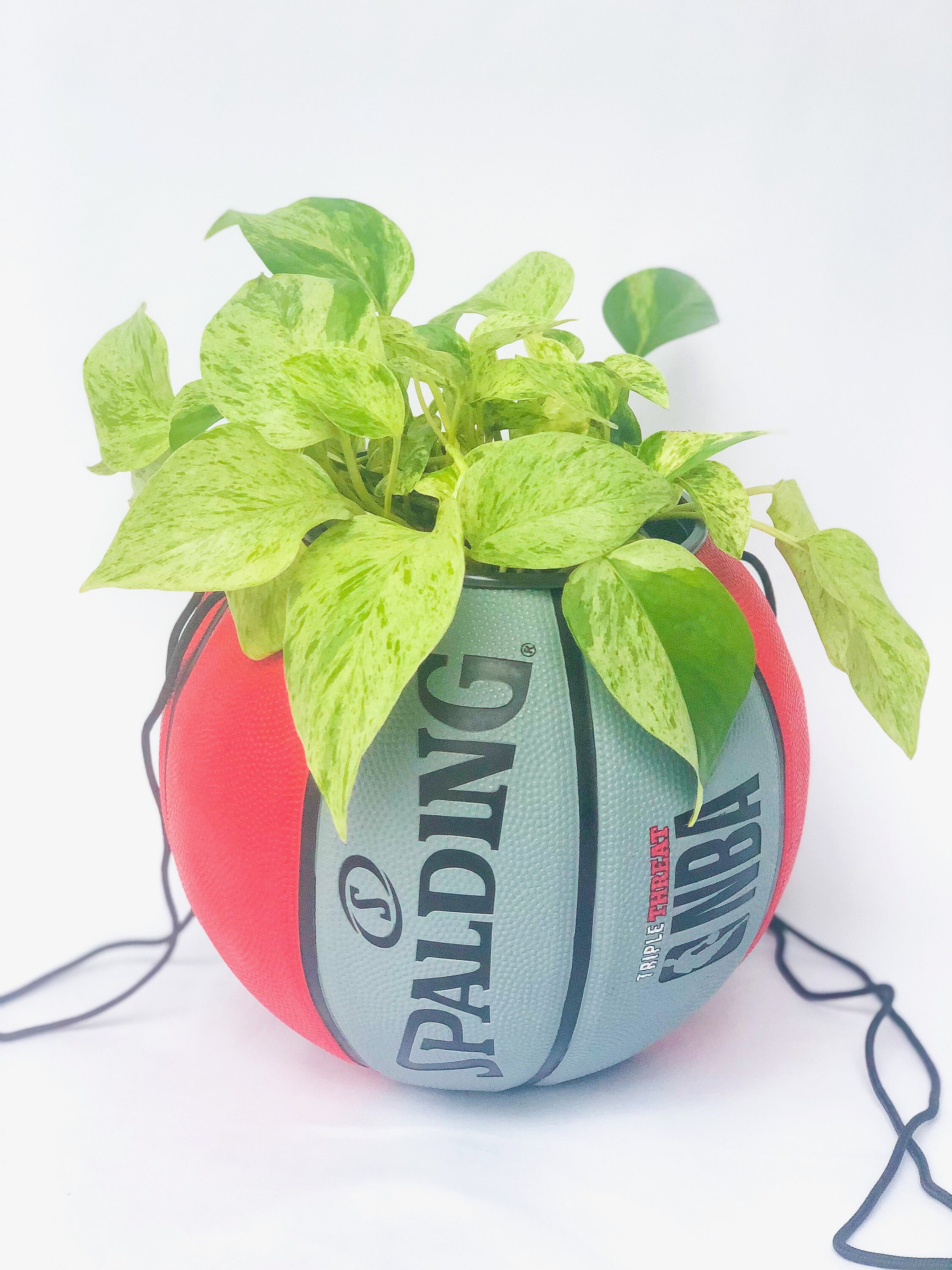 SPALDING BASKETBALL PLANTER Hanging Red and Grey Spalding Etsy