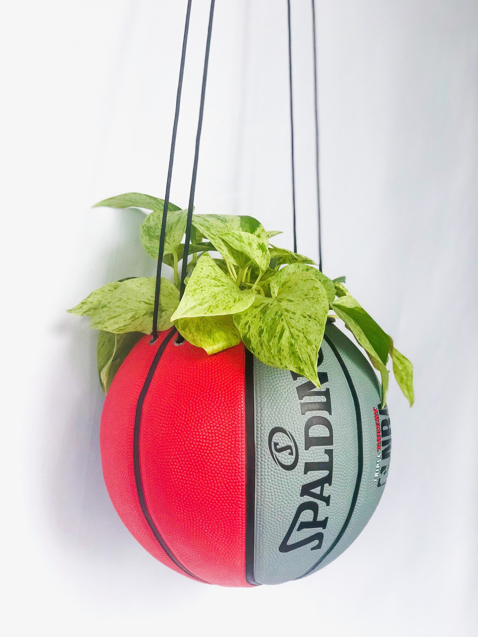 SPALDING BASKETBALL PLANTER Hanging Red and Grey Spalding Etsy