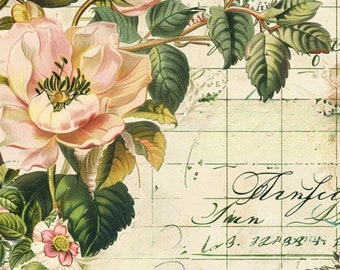 Flora