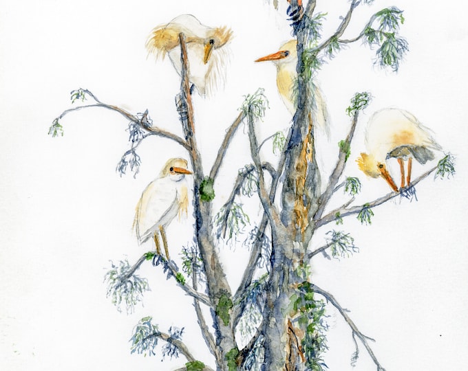 Cattle Egrets, Watercolor, Giclee, Print, art, wall art, birds, birder, florida, artwork, painting, tree