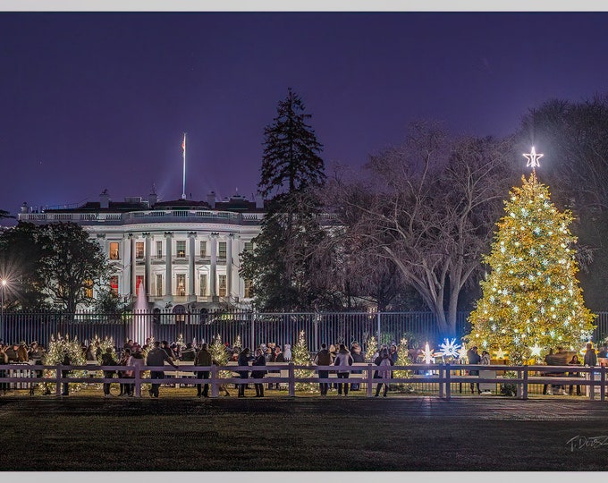 CHRISTMAS CARD - National Christmas Tree, Washington, DC, winter, decor, colorful, holiday, Christmas, Dorsz