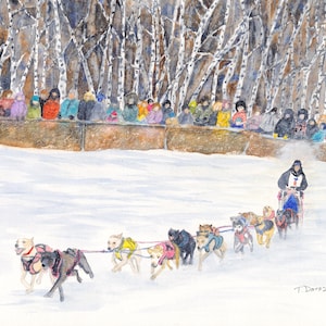 Sled Dog Race, Watercolor, Fairbanks, Alaska, winter, sport, dogs, trees, snow, giclee print, original, wall art, artwork