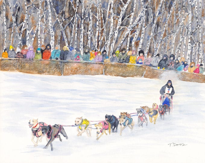 Dog Race, Watercolor, Fairbanks, Alaska, winter, sport, dogs, trees, snow, giclee print, original, wall art, artwork