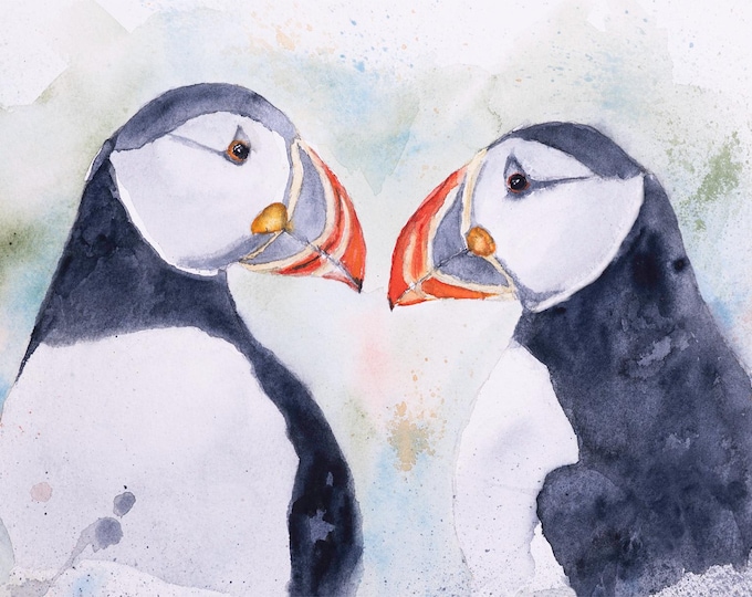 Atlantic puffin, Fratercula arctica, watercolor, greeting card, birthday, thank you, invitation, thinking of you, birder, bird watcher