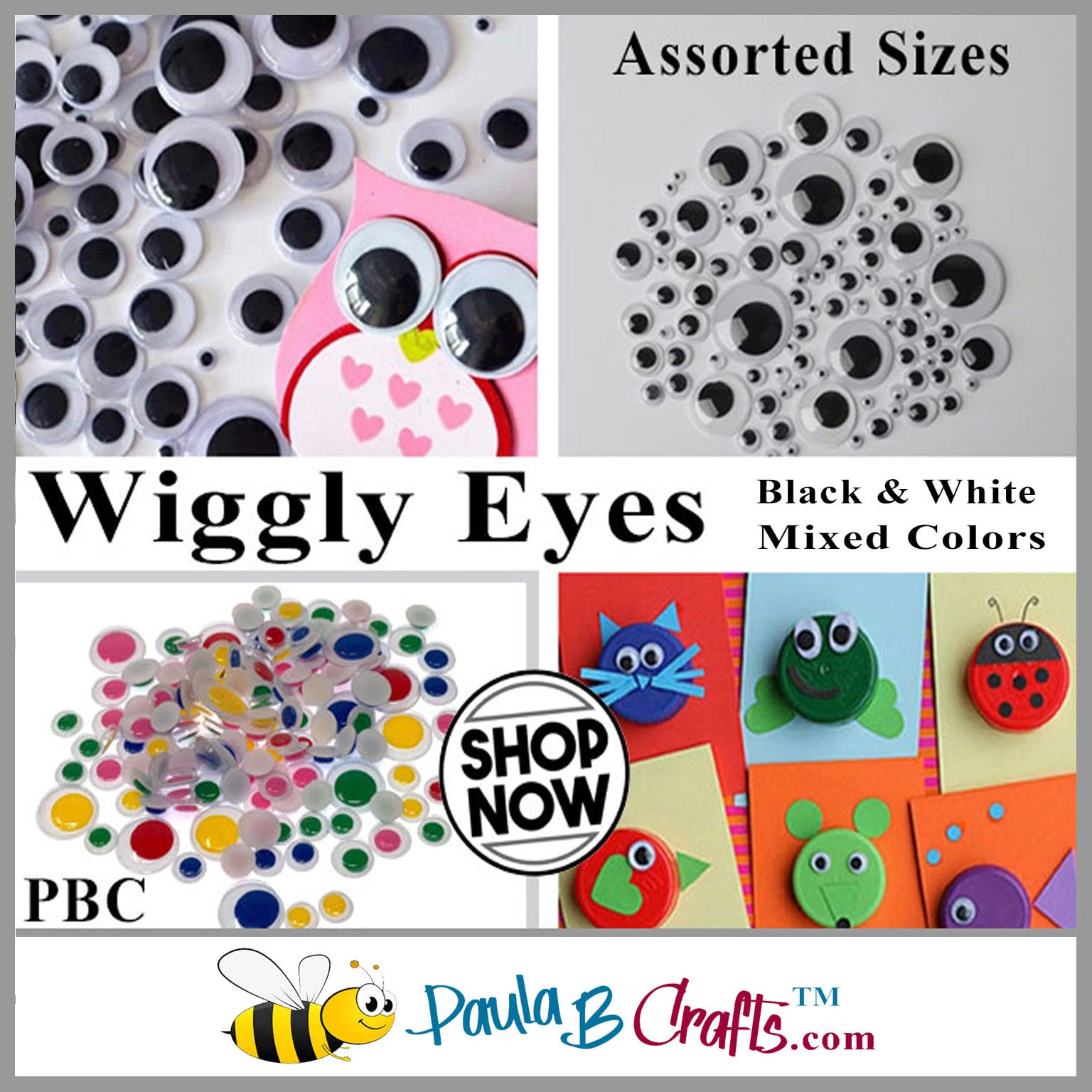 Wiggly Eyes Black & White / Mixed Colors Assorted Sizes Paula B Crafts 