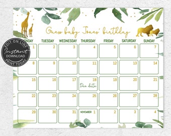 May include: A safari-themed printable calendar. The calendar grid is filled with dates, and decorated with illustrations of giraffes, lions, and leaves. The text "Guess baby Jones' birthday" is written in gold script. The words "Edit on line" and "Instant Download Print Today" are also visible.