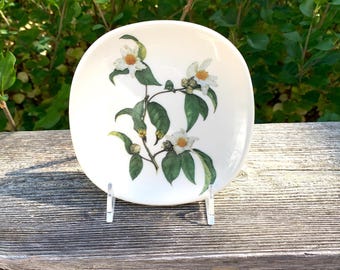 Arabia Finland Wall Plate, The World Wildlife Fund, Camellia Granthamianum, Grantham's Camellia, Design Mary Grierson