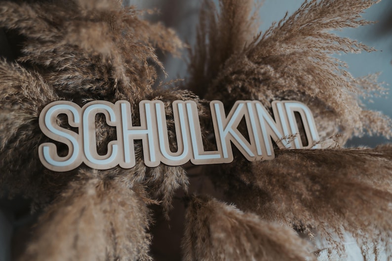 May include: A wooden sign with the word "SCHULKIND" in white letters on a brown background. The sign is surrounded by dried pampas grass.