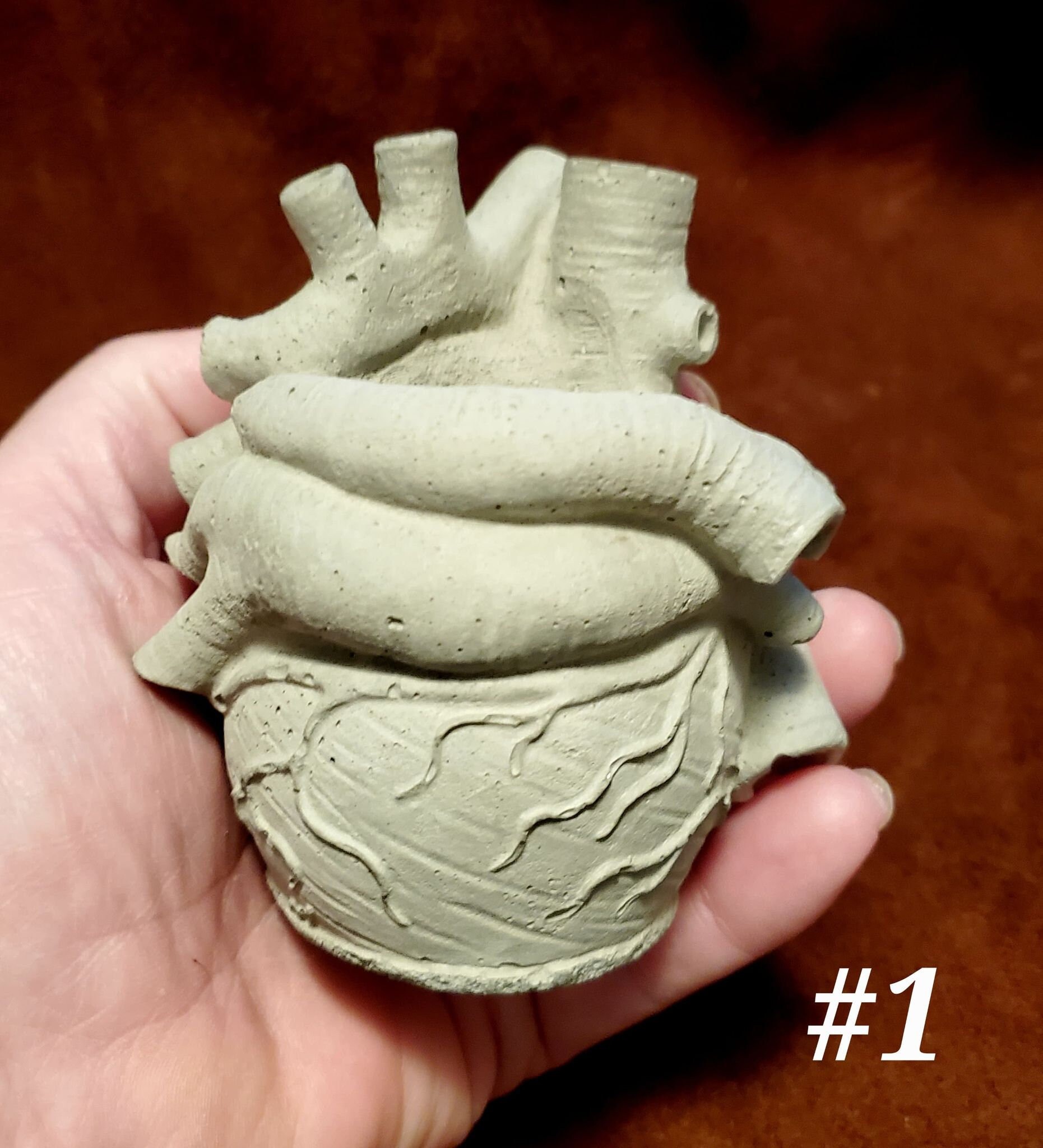 Anatomical Heart Pencil Holder Etsy