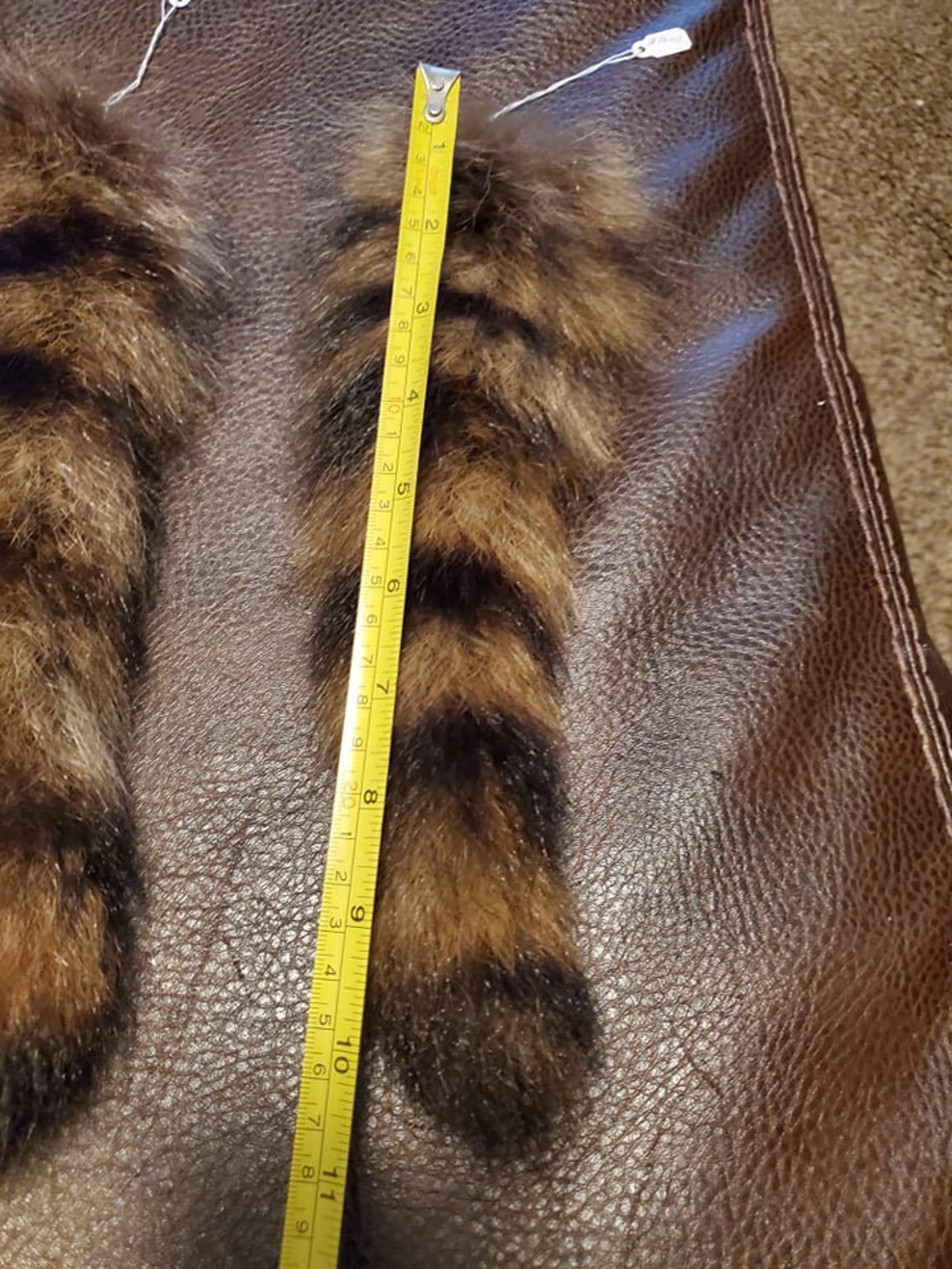 Ethically sourced Raccoon Tails great for crafting clothing | Etsy