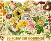 Printable Fussy Cut Botanicals Ephemera for Journals and scrapbooks. JPEG, PDF and Clipart PNG format. Commercial Use