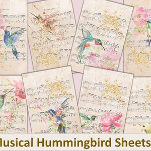 Printable Musical Hummingbird Pages for your Journal. JPEG and PDF