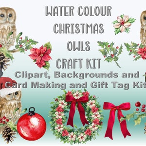 Christmas Watercolour Owls clipart and craft kit