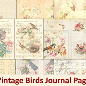 Printable Junk Journal (Vintage Birds) Pages JPEG format. A4 (Letter Size)