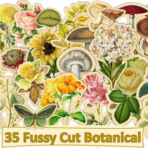 Printable Fussy Cut Botanicals Ephemera for Journals and scrapbooks. JPEG, PDF and Clipart PNG format. Commercial Use