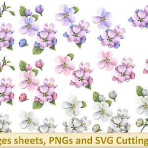 Printable Collage Sheet in A4 with all PNG files and SVG for cutting machines Commercial Use Woodland Blossom