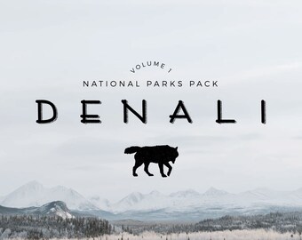 Denali Font (+ Free Illustrations, & Logo Templates!)