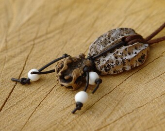 Flotsam pendant, natural unique specimen, probably stone fruit core with cone / capsule