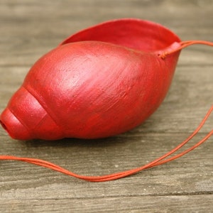 Red snail horn with an amazingly loud sound image 1