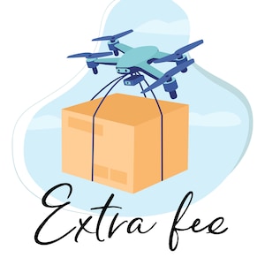 custom fee