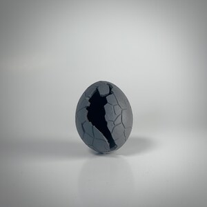 Dragons Egg Hatched DND Mini Custom Miniature Resin 9K Quality - DnD Miniature - Dungeons and Dragons  - RPG Miniatures - TTRPG - Wargaming
