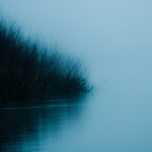 Morning Mystery