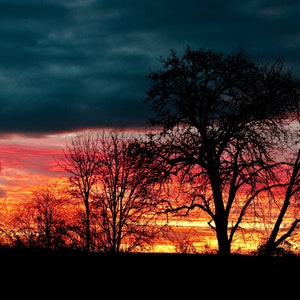 Willamette Sunrise