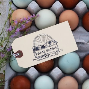 Sello de huevos arco iris frescos de granja - Sello personalizado de huevos de gallina - Sello de goma de cartón de huevo - Sello de cartón de huevo - Sello de granja - Sello de huevos de gallina
