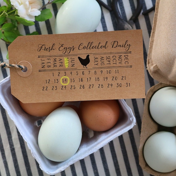 Egg Date Stamp Etsy