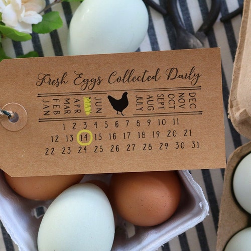 Fresh Eggs Collected Date Stamp Chicken Eggs Date Gathered Etsy