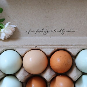 Huevos frescos de granja coloreados por nature huevo cartón sello de goma - sello de huevos arco iris - huevos de pollo frescos - sello de pollo