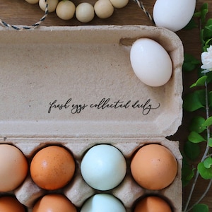 Fresh Eggs Collected Daily Egg Carton Rubber Stamp - Chicken Eggs Stamp - Fresh Chicken Eggs - Chicken Stamp - Fresh Duck Eggs Stamp