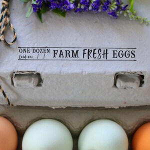 Egg Carton Rubber Stamp - Farm Stamp - Fresh Chicken Eggs - Chicken Stamp - Farm Fresh Eggs - One Dozen Eggs Stamp - Eggs Laid On Date Stamp