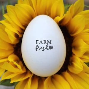 Heart Farm Fresh Egg Stamp - Sello de huevo de pollo del corazón - Sello de pollo - Huevos frescos de la granja - Sello de huevos frescos - Sello de goma personalizado